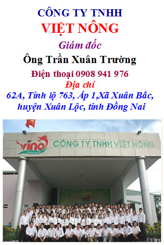Viet Nong